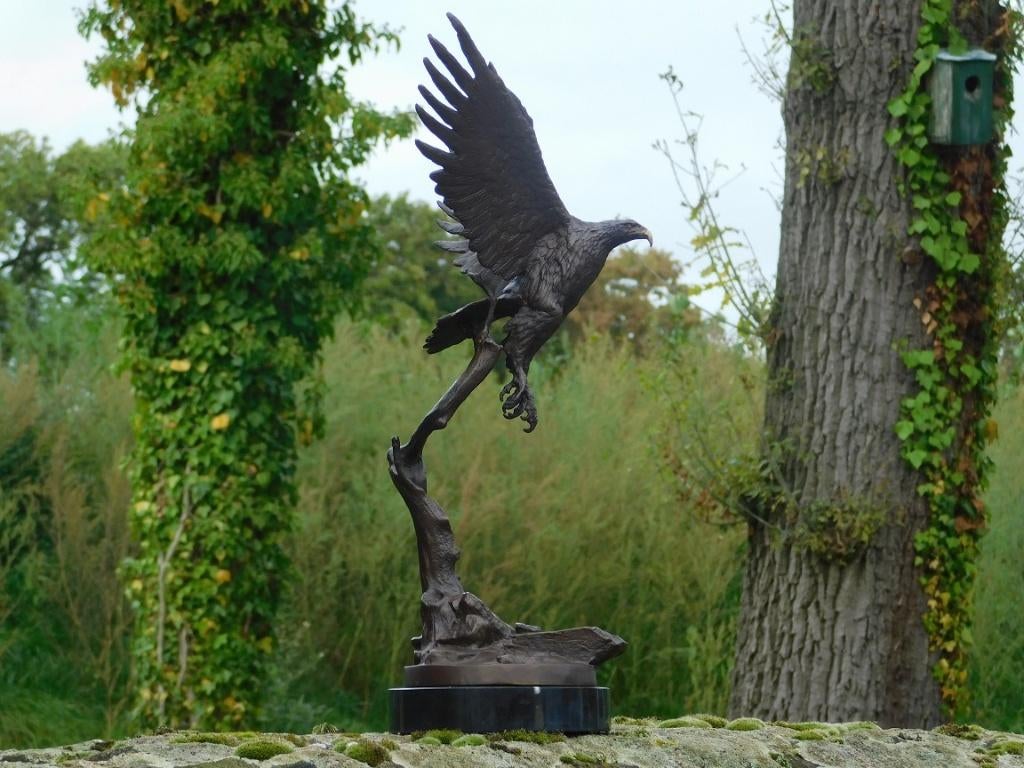 Aigle en bronze sur socle en marbre - 51 cm - Sculpture, Antiquités & Art, Enlèvement ou Envoi, Bronze