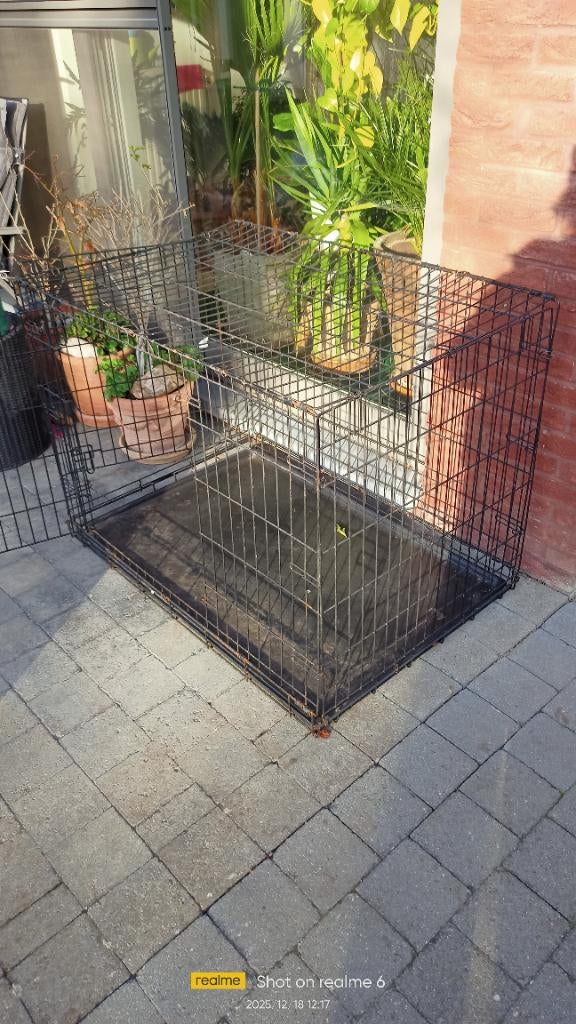 Animaux, Enlèvement ou Envoi, Comme neuf