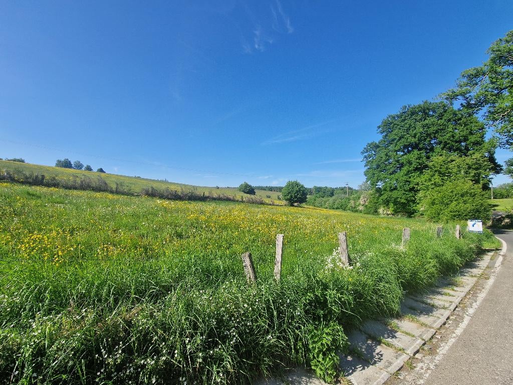 6830 LES HAYONS - Bouillon : superbe terrain, 1ha 44a 66ca., Les Hayons - Bouillon, 1500 m² ou plus