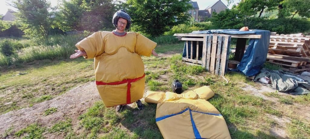 LOCATION: Fun Games: Sumo, Enlèvement, Utilisé