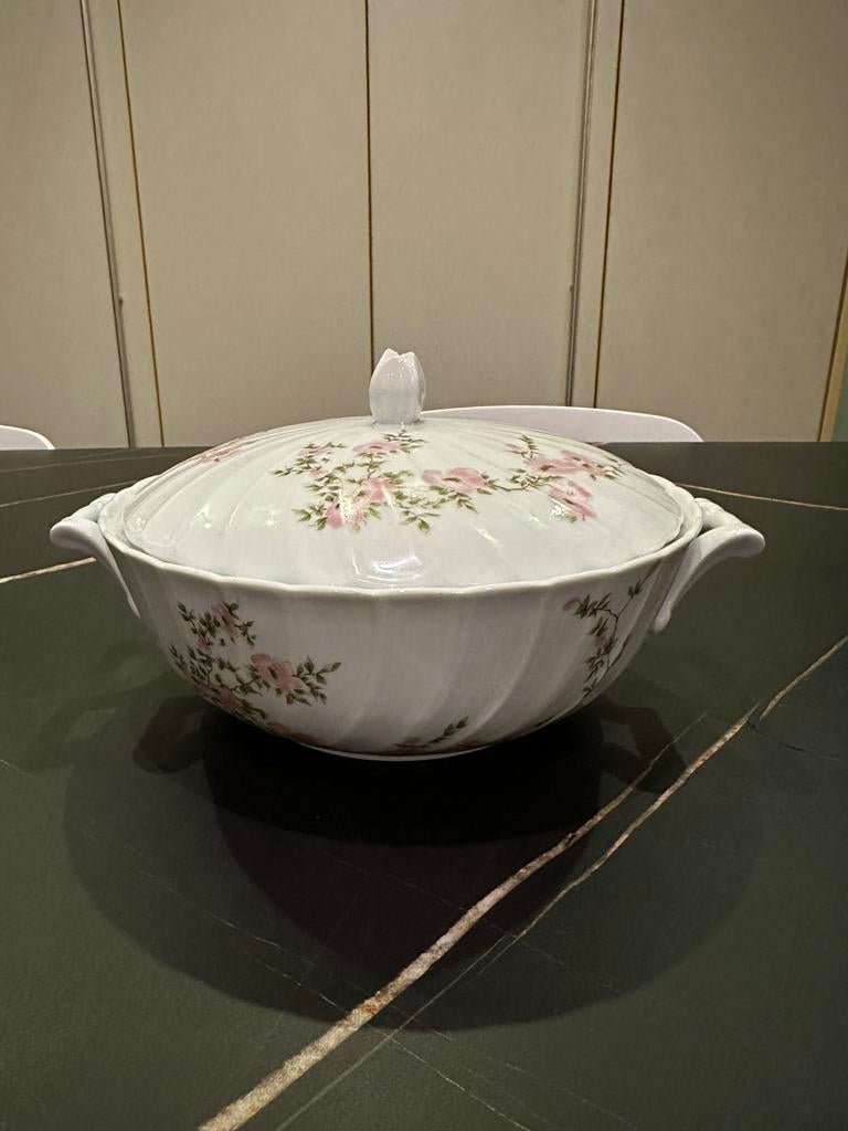 Porcelein B&C limoges France BERNARDAUD LIMOGES Amandine, Ophalen