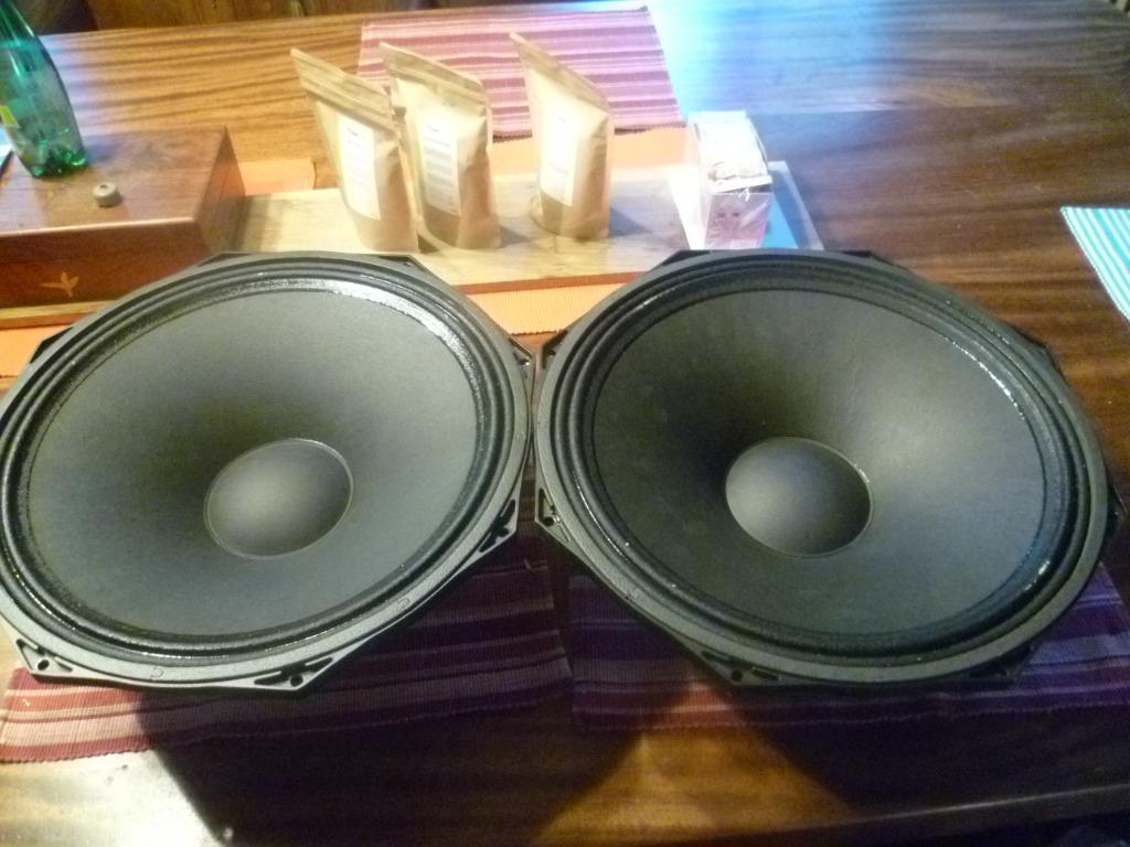 Mackie HP 15" LC15/2505-8 SR1522z, Audio, Tv en Foto, Luidsprekerboxen, Ophalen, Nieuw