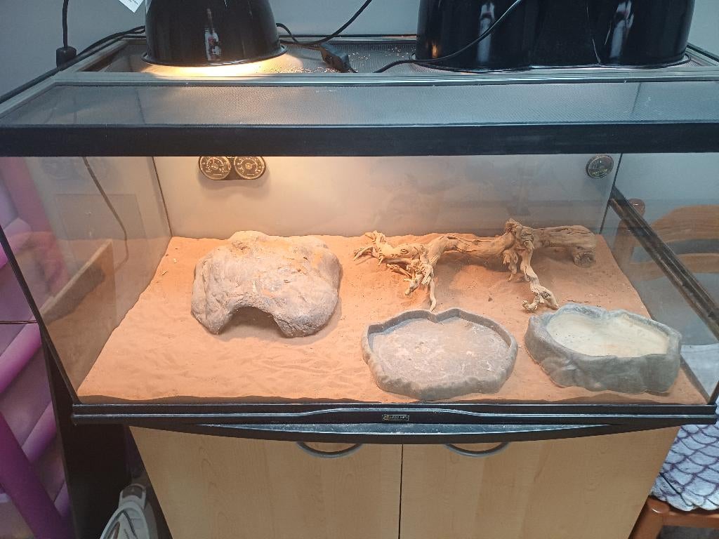 Terrarium, Ophalen, Gebruikt