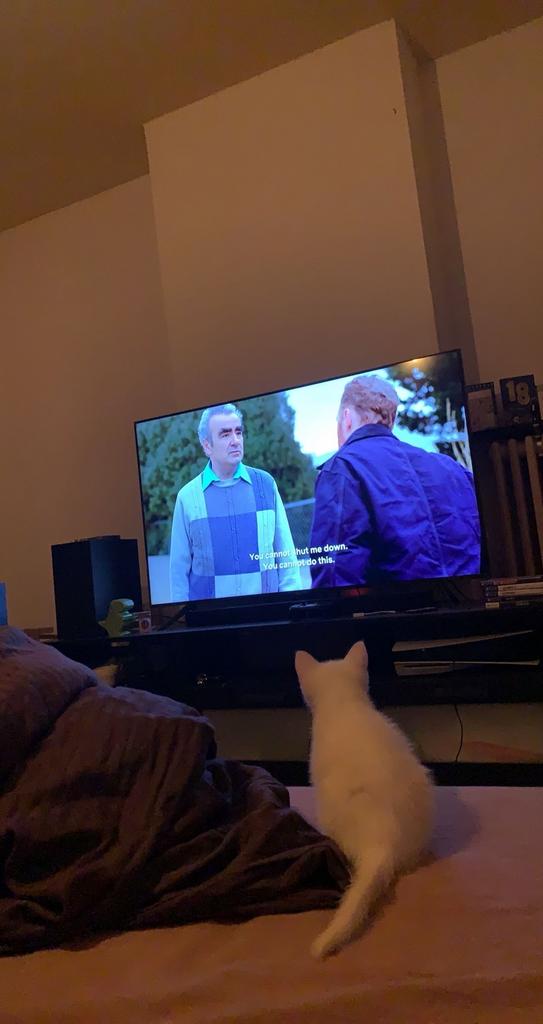 Samsung Crystal UHD 55AU7100, TV, Hi-fi & Vidéo, Télévisions, Utilisé, LED, 100 cm ou plus, 4k (UHD), Samsung, 50 Hz, Smart TV