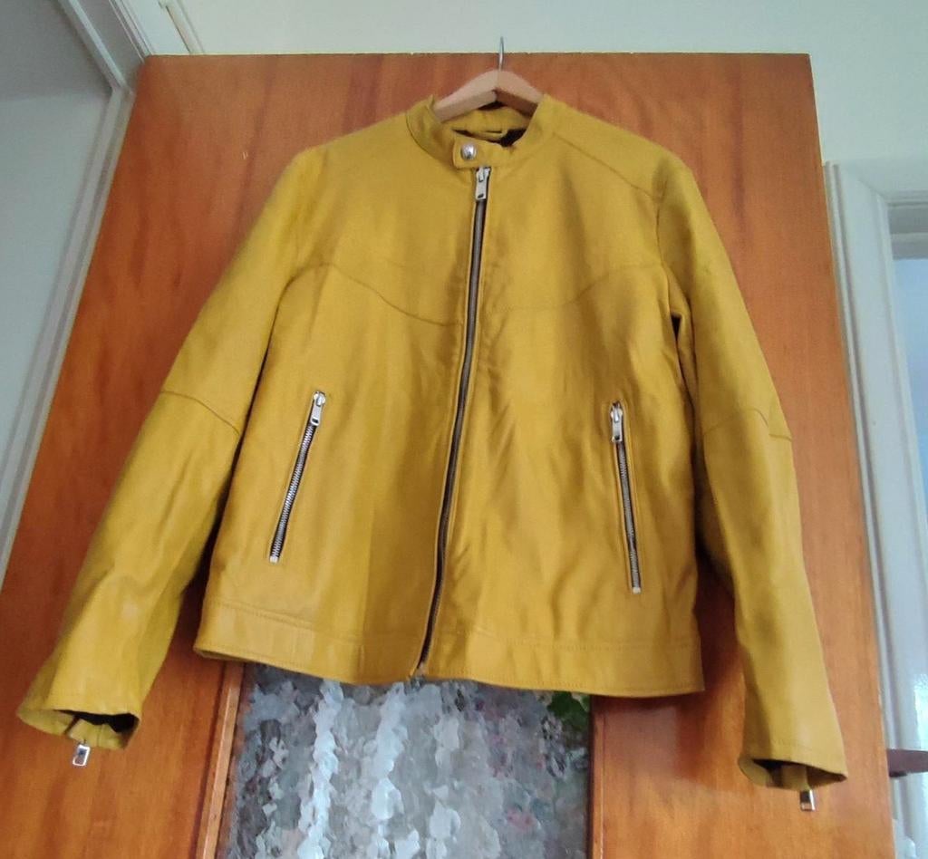 Veste taille M, Vêtements | Femmes, Vestes | Hiver, ZARA, Enlèvement ou Envoi, Porté, Taille 38/40 (M)