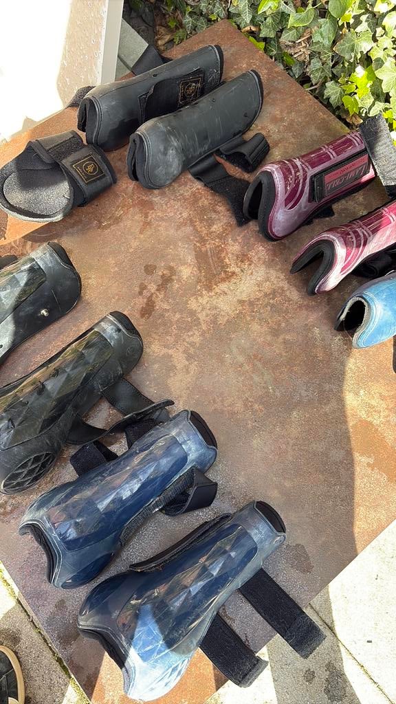 Paardrijbedrijf, Dieren en Toebehoren, Ophalen of Verzenden, Zo goed als nieuw, Rijden