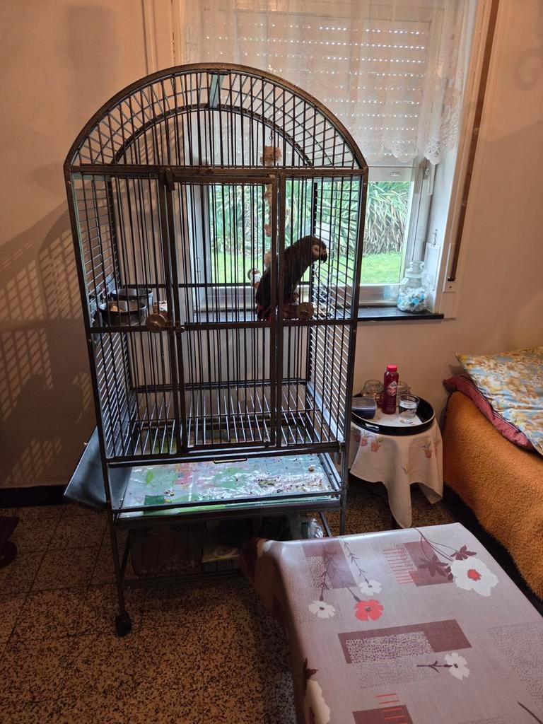 GRANDE CAGE POUR PERROQUET, Enlèvement, Comme neuf, Métal, Cage à oiseaux