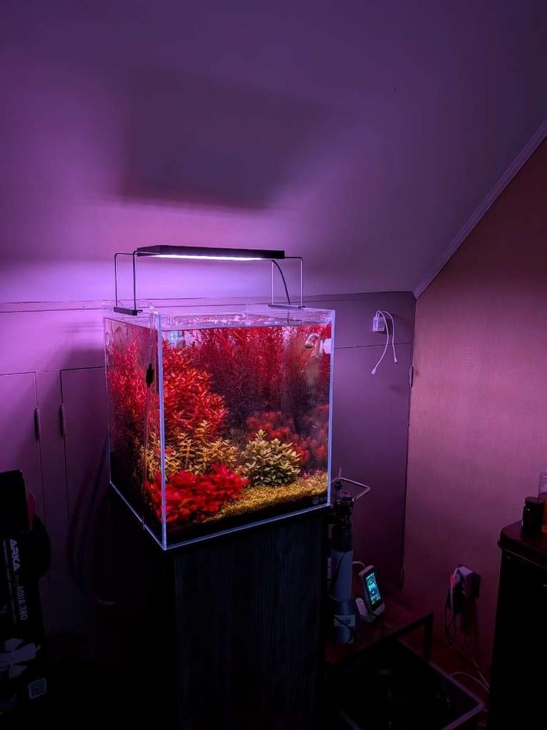 Aquarium met alles erbij, Enlèvement, Filter, Chihiros