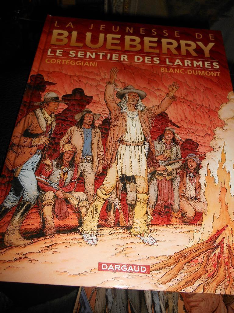 La jeunesse de Blueberry 17 eo, Livres, BD, Enlèvement ou Envoi