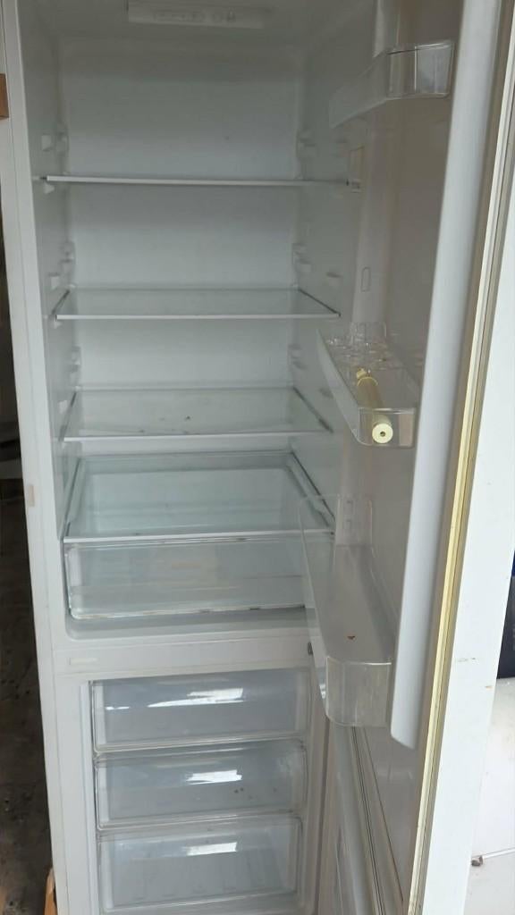 Ijskast met diepvries, Elektronische apparatuur, Ophalen, Gebruikt, 160 cm of meer, 45 tot 60 cm