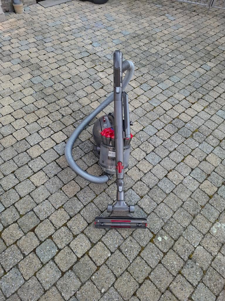 Aspirateur Dyson DC33C (nettoyé et désinfecté), Aspirateur, Enlèvement, 1200 à 1600 watts, Réservoir