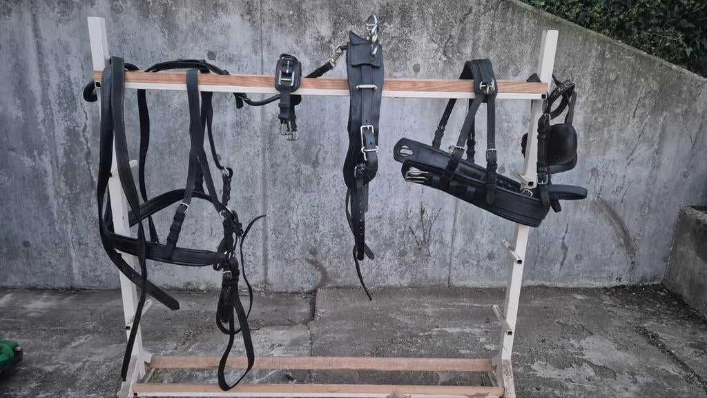 Mentuig ideal Cob, Enlèvement ou Envoi