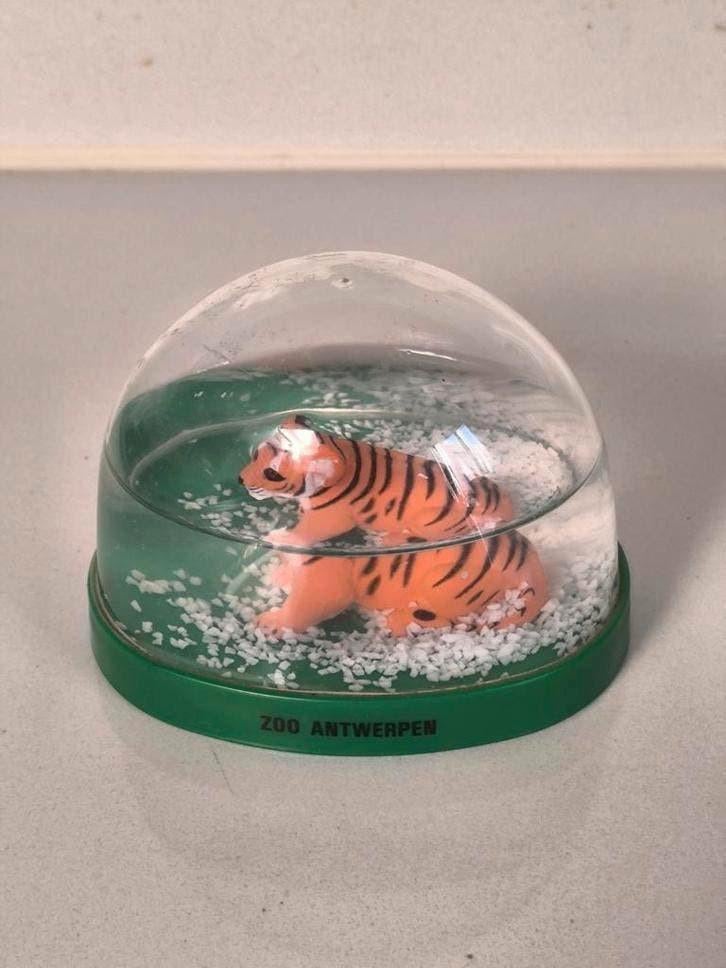 Vintage snowball, Zoo Antwerpen en Planckendael, Ophalen of Verzenden