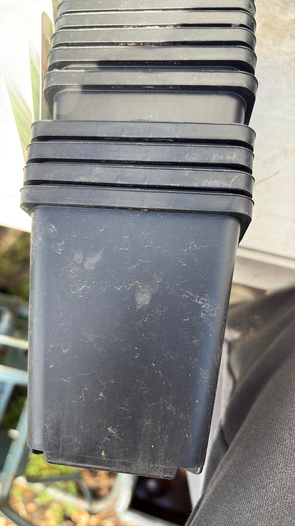 Kweekpotjes 9x9cm, Ophalen, Gebruikt