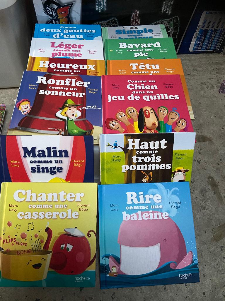 Livres jeunesse Hachette et Nathan, Enlèvement ou Envoi, Comme neuf, Fiction