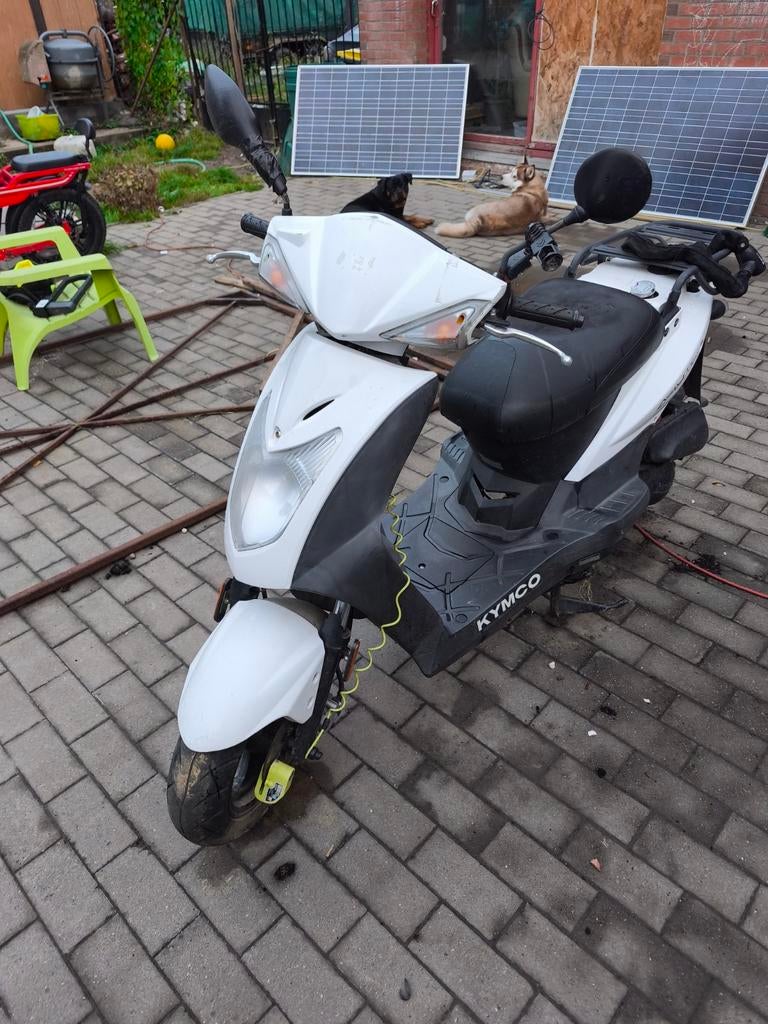 Kymco Agility delivery 50cc 4 temps, Fietsen en Brommers, Ophalen, Agility