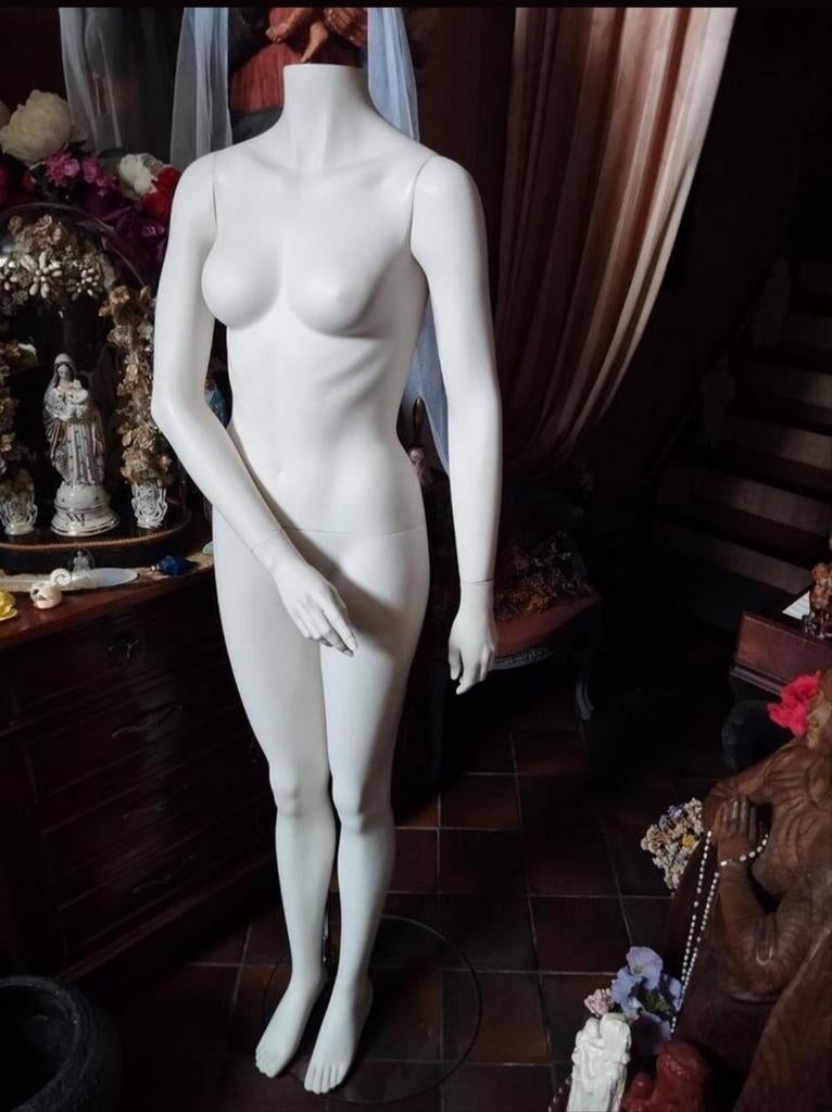 Eurodisplay paspop demonteerbaar met beweegbare armen, Ophalen, Paspop