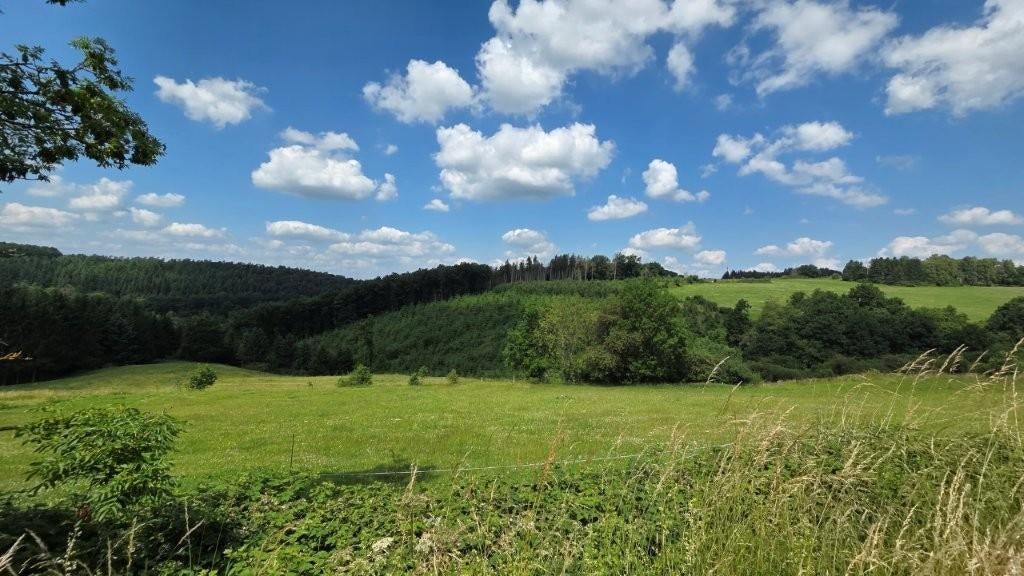 6997 EREZEE: bouwgrond, 10a 13ca, prachtig uitzicht., Immo, Erezée, 1000 tot 1500 m²