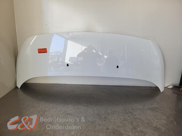 Capot d'un Opel Vivaro, -, Opel, 3 mois de garantie, Utilisé