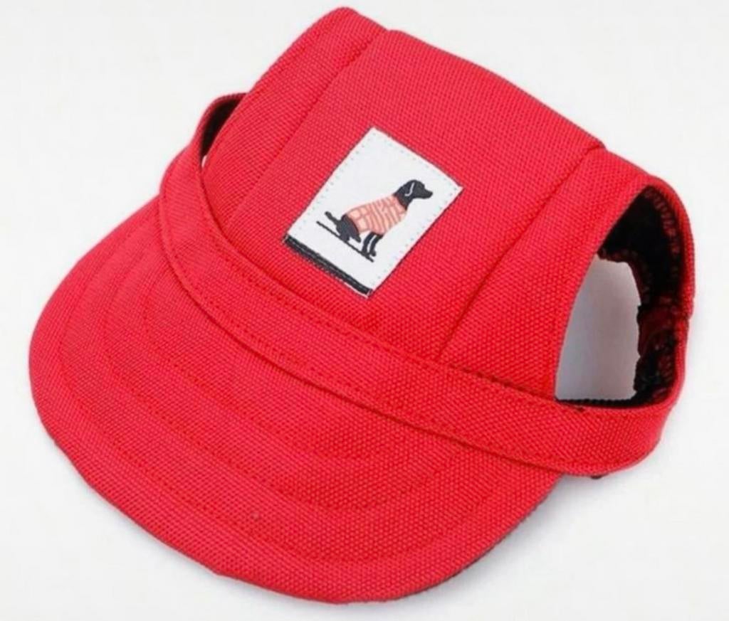 Casquette pour peit chien neuve, Animaux & Accessoires, Enlèvement, Neuf