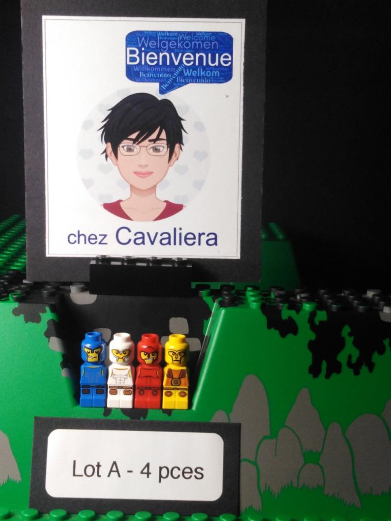 Lot A : 4 micro-figurines Lego Games Gladiateurs Minotaurus, Enfants & Bébés, Jouets | Duplo & Lego, Comme neuf, Lego, Briques en vrac