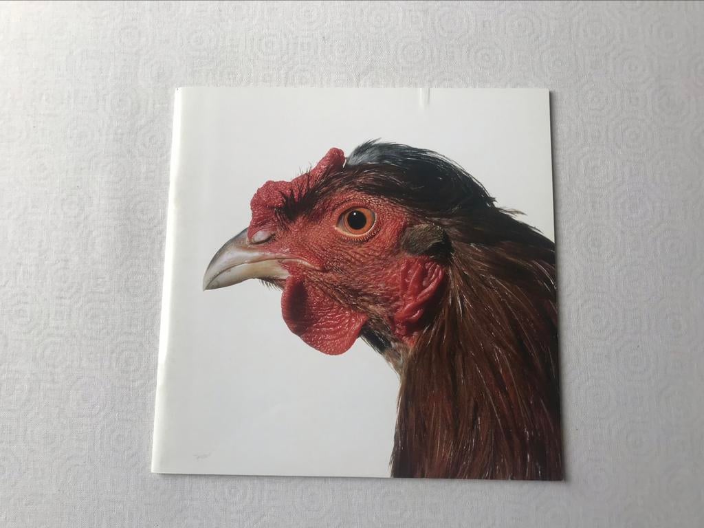 Sculptures Koen Vanmechelen 40 pag, Enlèvement ou Envoi, Comme neuf, Sculpture