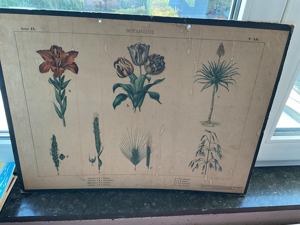 Tableau pédagogique ancien, Enlèvement