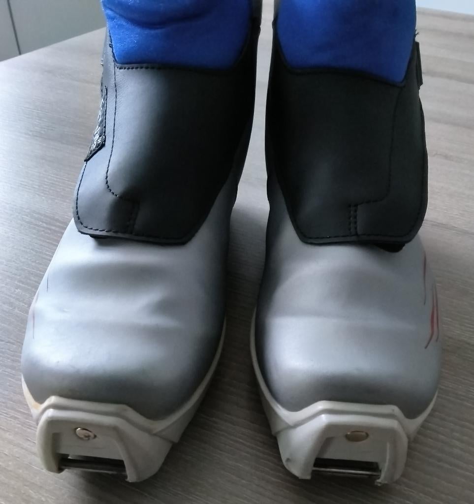 Fischer 600 Crown tech ski's, inclusief botten en stokken, Sport en Fitness, Ophalen, 160 tot 180 cm, Fischer, Gebruikt