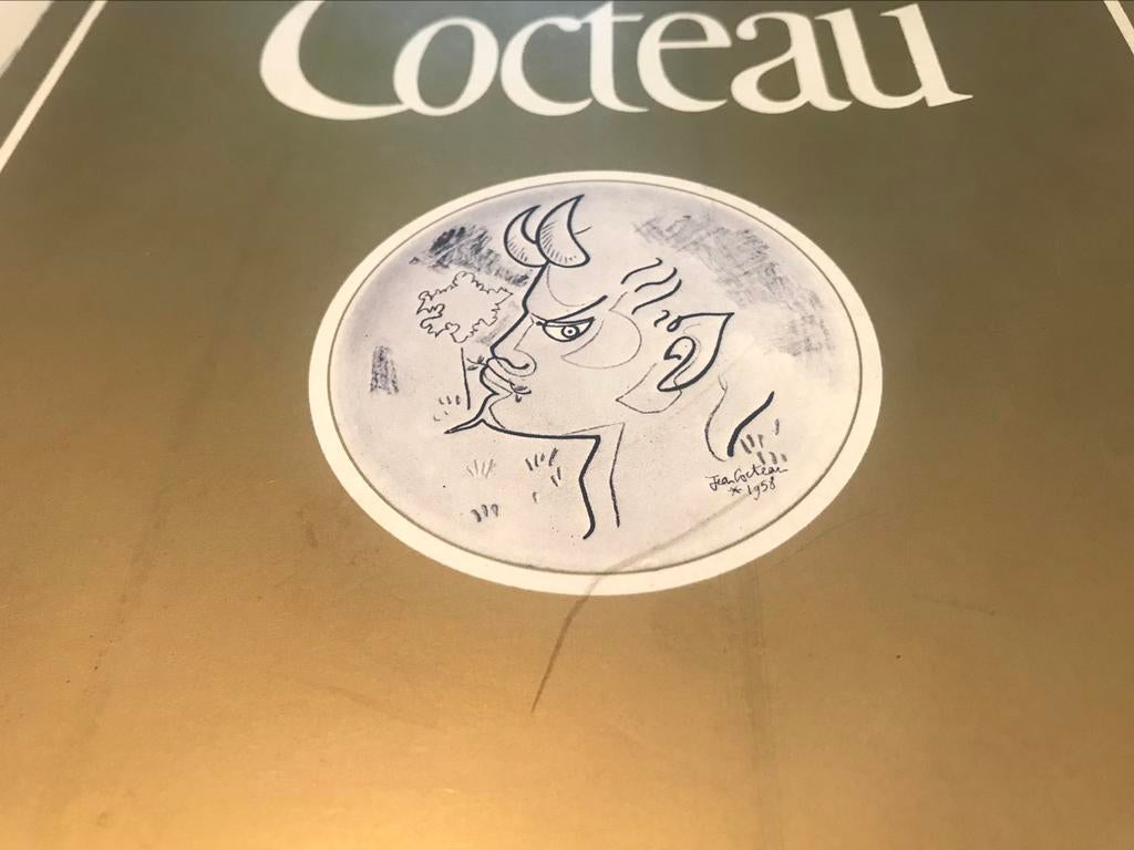 Jean Cocteau monographie 220 pages, Enlèvement ou Envoi, Comme neuf, Peinture et dessin
