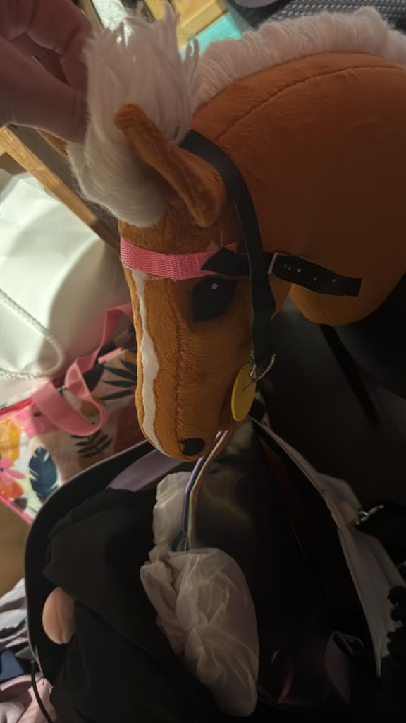 Hoofdstel hobbyhorse, Ophalen of Verzenden, Zo goed als nieuw