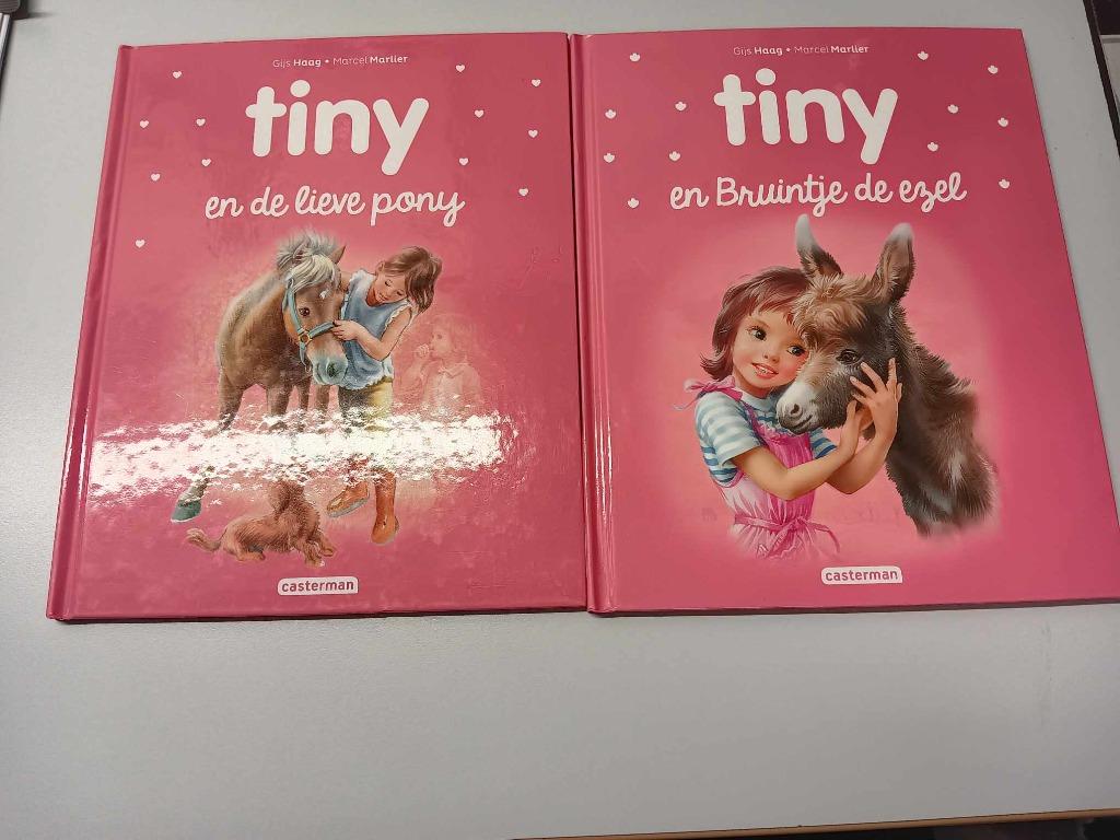 boeken Tiny, Ophalen of Verzenden, Zo goed als nieuw, Fictie algemeen