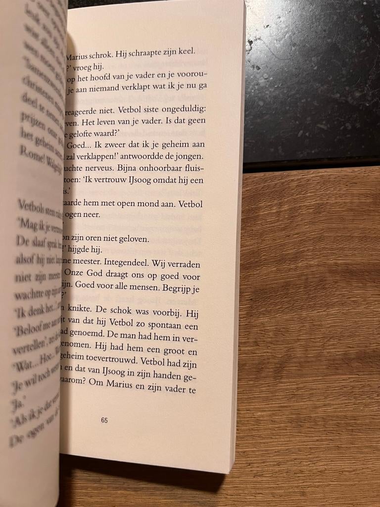 Flavius ontvoerd - R.H. Schoemans, Gelezen, R.H. Schoemans, Ophalen of Verzenden, Fictie