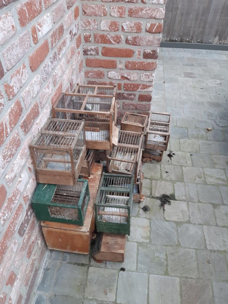 Vogelkooien, Dieren en Toebehoren, Vogels | Hokken en Kooien, Ophalen