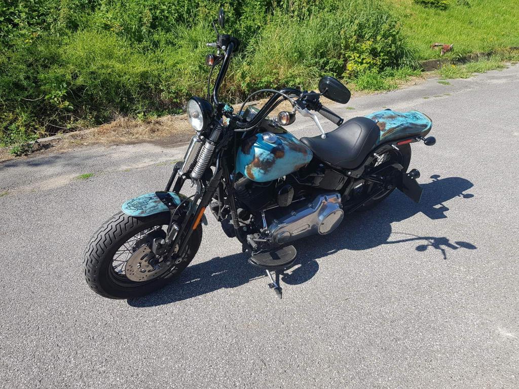 Harley Springer Crossbone, 2 cylindres, Particulier, 1580 cm³, Chopper