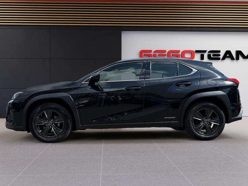 Lexus UX 250h EXECUTIVE LINE, Autos, Achat, Euro 6, 5 portes, Automatique