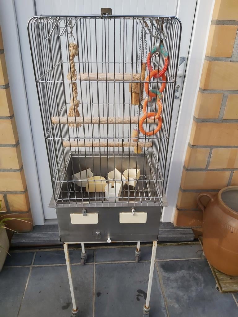 Cage de pérroquet