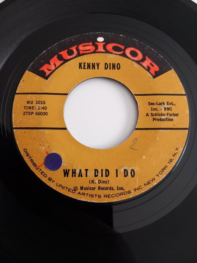 KENNY DINO.  WHAT DID I DO. OLDIES USA 45T, Enlèvement ou Envoi
