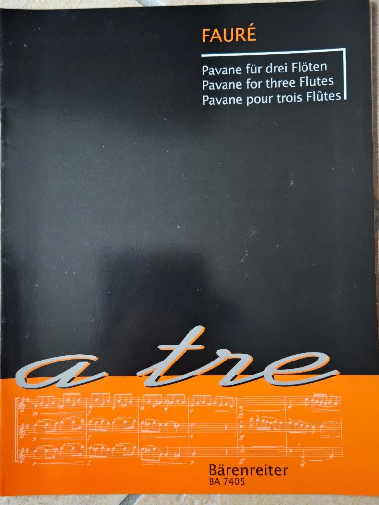 Bladmuziek 3 fluiten of meer. 6 boeken, Ophalen of Verzenden, Zo goed als nieuw, Overige soorten, Piano