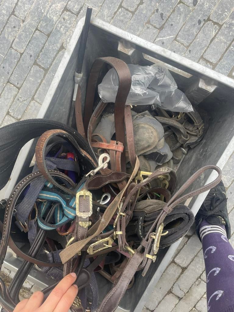 Bak met verschillende paarden spullen, Dieren en Toebehoren, Ophalen, Gebruikt, Overige soorten