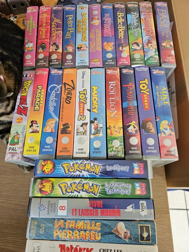 Cassette VHS Disney, Enlèvement ou Envoi