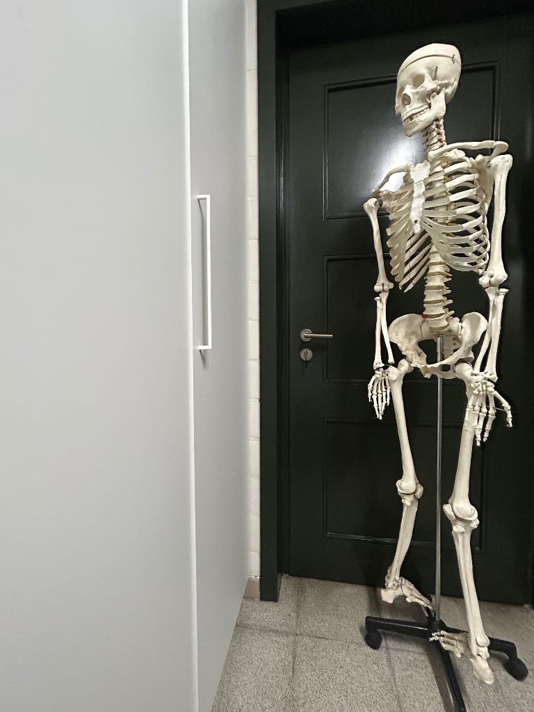 Skelet op voet, Ophalen, Gebruikt, Overige typen