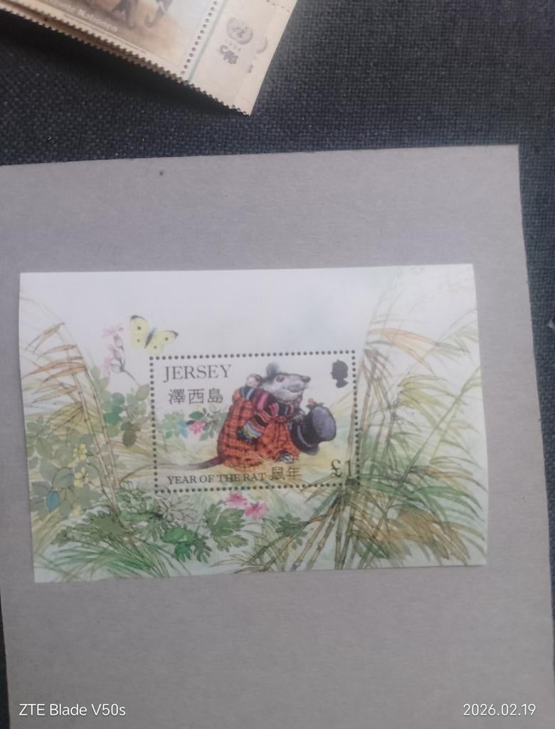 Tampons pour rats, Enlèvement ou Envoi