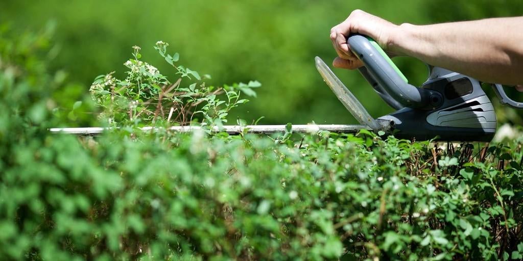 Jardinier avec expérience vous propose ses services, Services & Professionnels, Entretien de jardins ou Taille