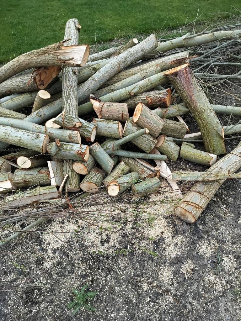 Gratis op te halen snoeiafval en hout, Tuin en Terras, Brandhout, Ophalen