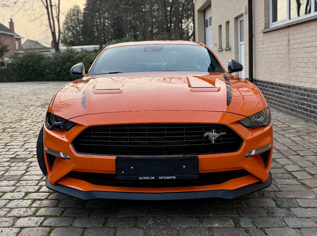 Ford Mustang 2.3 EcoBoost Fifty Five Years ### 16000 km ###, Cuir, https://public.car-pass.be/vhr/42fb890f-6003-432d-aa15-5c940b6f1f05