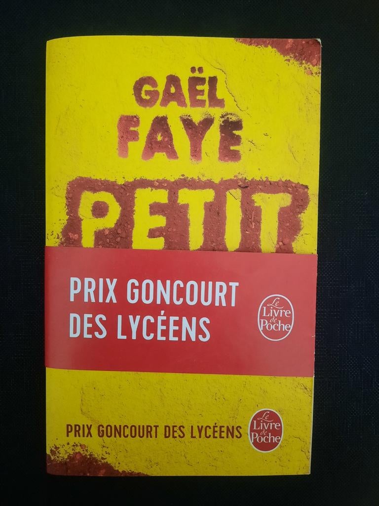 Petit Pays, Livres, Conseil, Aide & Formation, Enlèvement