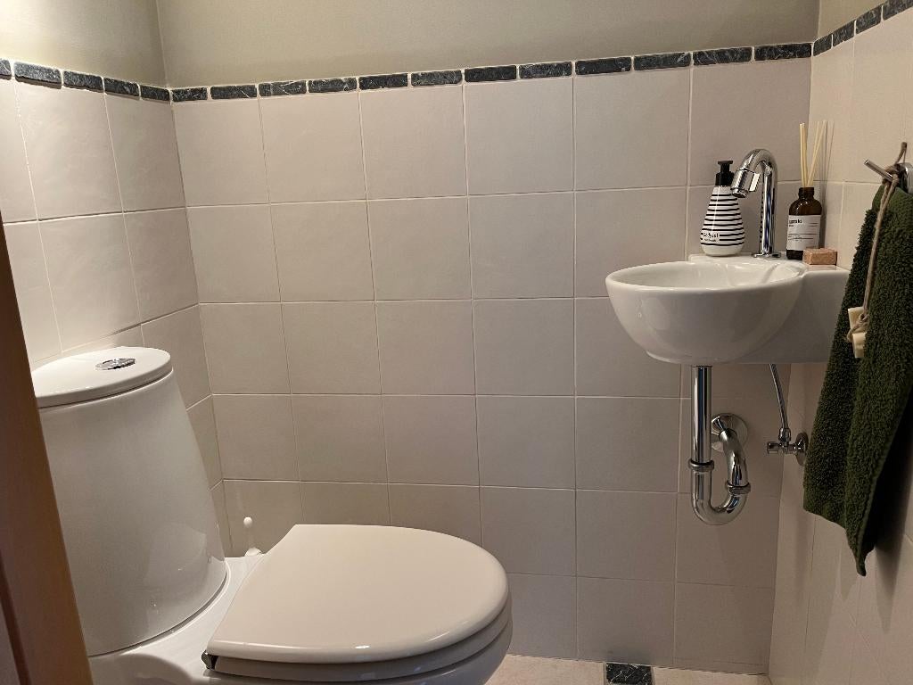 Porseleinen toilet, Ophalen, Gebruikt, Toilet