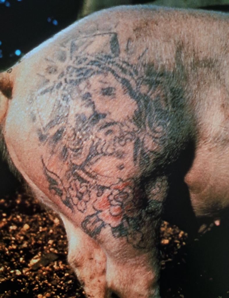 Wim Delvoye “ Art Farming” 1997-2006.  , Wim Delvoye, Ophalen of Verzenden, Zo goed als nieuw, Schilder- en Tekenkunst