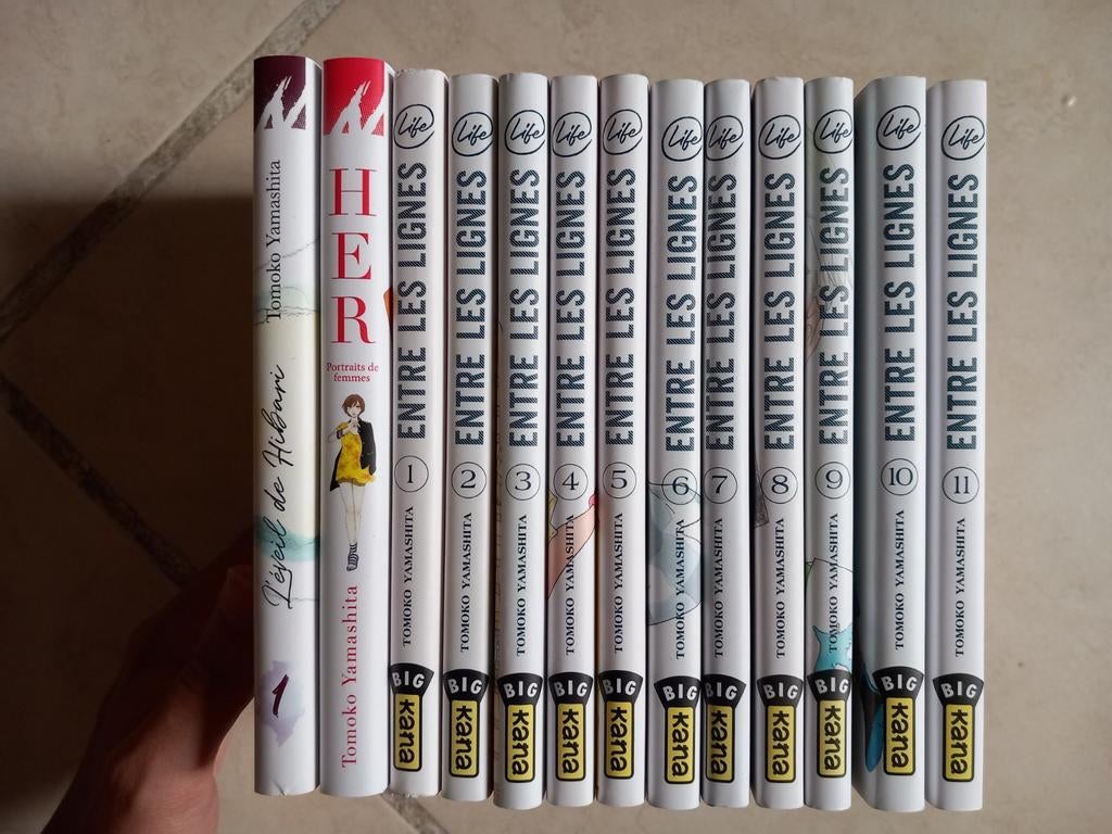 Manga Entre Les Lignes intégrale 13 tomes, Livres, Enlèvement ou Envoi, Comme neuf