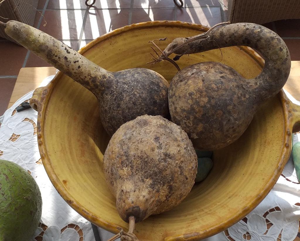 kalebassen, Ophalen of Verzenden